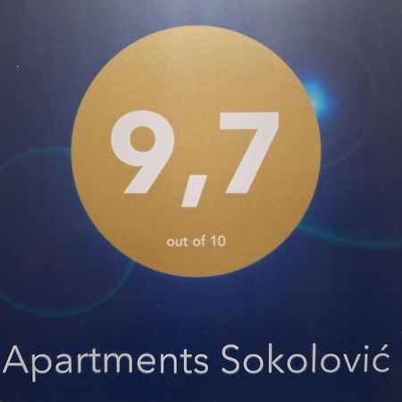 Apartments Sokolovic Вишеград Экстерьер фото